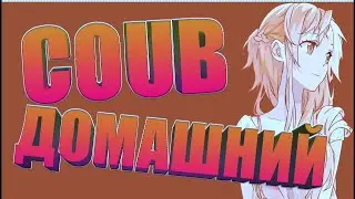 Домашний COUB № 112