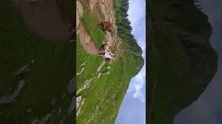 🌿 Mountain Life Beauty | Sheep Running on Green Hills 🐐 | Scenic Nature Short