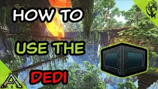 Как использовать выделенное хранилище в официальном PVP-режиме Ark в 2023 году