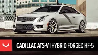 Cadillac ATS-V | Hybrid Forged HF-5 Wheels