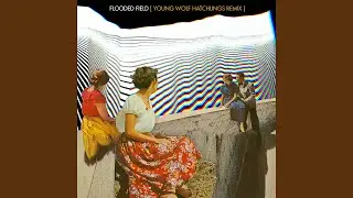 Flooded Field (feat. Illa J) (Young Wolf Hatchlings Remix)
