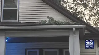 Homeowners concerned that trees could fall, damage homes in storms