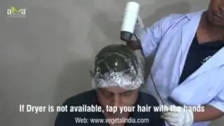 Vegetal Bio Colour Application Process