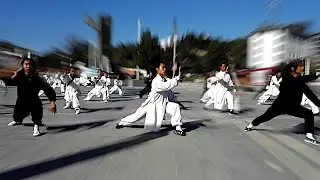 Wudang Martial Arts | Tai Chi 28 (full form)
