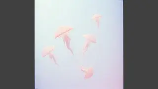 Onironaut