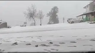 Jot chamba Snowfall 🌨️🌨️