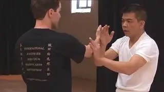 Lesson one Wing Chun Drills