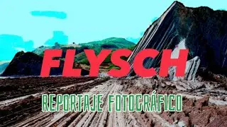 FLYSCH 