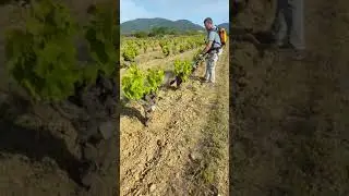 Bineuse &eacute;lectrique