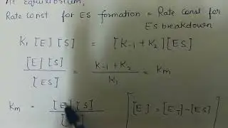 Michaelis Menten Equation