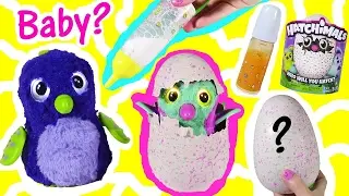 My Baby Draggle CHARLIE Hatchimal Meets BABY SISTER! Baby Pengula ANNABELLE Hatches & drinks! FUN