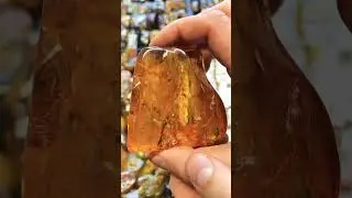 Натуральный Балтийский янтарь с инклюзами. Natural Baltic amber with inclusions.