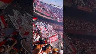 FESTA ABSURDA DO S&Atilde;O PAULO CONTRA O FLAMENGO PELA FINAL DA COPA DO BRASIL! #shorts