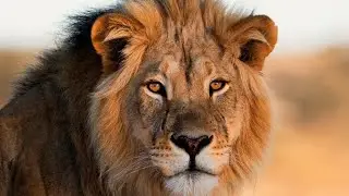 Cape May Zoo. #newjersey #gardenstate #usa #zoo #mexico #puertorico #latinosenusa #america #canada 