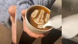 Latte Art ▪︎ 5 Rosetta's
