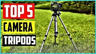 Top 5 Best Camera Tripods in 2021