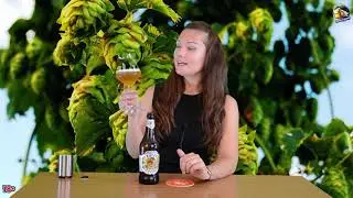 Обзор  пива Wychwood Hobgoblin IPA #  142