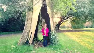 Port Eliot Estate : Drone