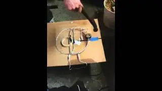 Tesoro Golden Saber TGSL Problem swinging