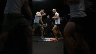 Presentaci&oacute;n Low Kick Championship en Alemania (Stuttgart)