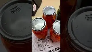 Forjars Canning Lids / southernwife_everydaylife
