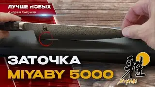 Заточить СУПЕР японский нож. Проблемы Miyabi Black 5000MCD 67