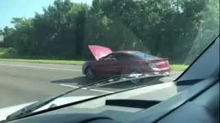What the Honk