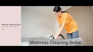 Dust Mite Removal Dubai: Say Goodbye to Pesky Allergens with Ease!