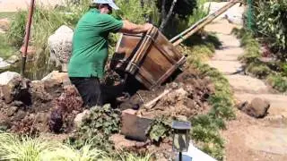 Proper Planting of 24