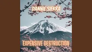 Expensive Destruction