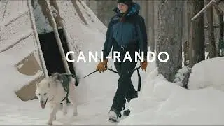L'hiver dans le Grand Nord