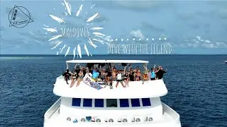 Maldives, Dive with the legend. - Dive Concept 潛意識
