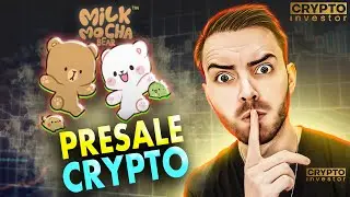 Как понять модель предварительной продажи криптовалюты в проекте Milk Mocha?