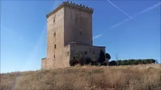 Mazuelo de Mu&ntilde;&oacute;