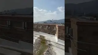 Bird Control | Bird Barriers Commercial Properties | LA County | Versa Tech PM
