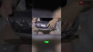 Motorcycle Mudguards  Quality Check & Toughness Test!