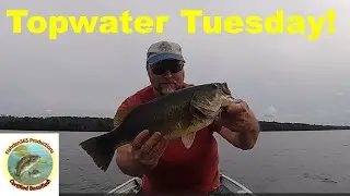 My Secret Bait for Bass Fishing