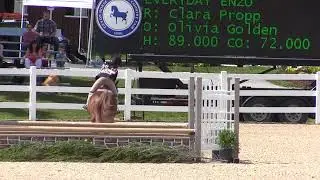 Video of EVERYDAY ENZO ridden by CLARA PROPP from ShowNet!