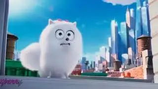 Secret life of pets Gidget x max ooh la la