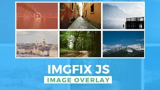 Image Hover effect with Overlay | Using Html Css Js