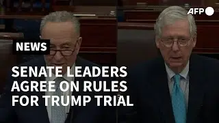 US Senate leaders agree on rules for Trump impeachment trial | AFP