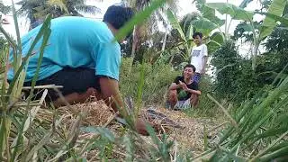 MERCON PENDEM KEDUNGREJO PART 4