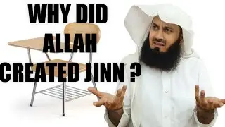 ALLAH'S PURPOSE OF CREATING JINN AND MANKIND/ MUFTI MENK