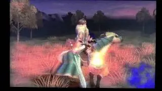 Fire Emblem: Awakening Lunatic Chapter 1: Unwelcome Change