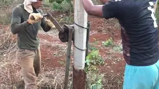Cách Sử dụng tời tay, nhổ trụ bê tông    Nặng 130 kg rất hiệu quả và rất nhẹ