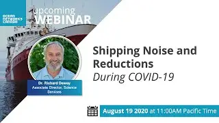 Shipping Noise and Reductions During COVID-19