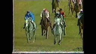 1986 Arkle Challenge Trophy Novices Chase - Cheltenham 11-03-1986