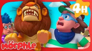 Real Lion Chases The Bandits?! 🦁 Morphle Kids Cartoons | Stories for Kids | Toddler Learning