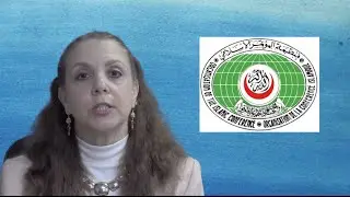Deborah Weiss on Free Speech and the Organization of Islamic Cooperation