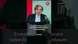 Ernestina Godoy es una subordinada de Sheinbaum: Carmen Aristegui